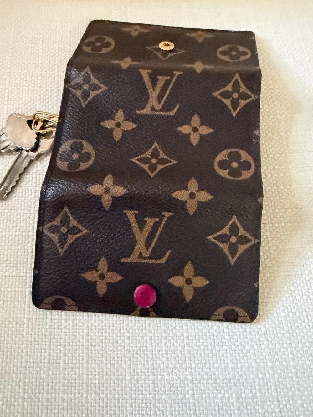 Louis Vuitton classic louis